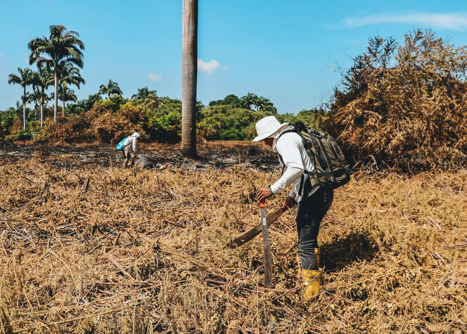 Incendio en Isla Santay deja 1,5 hectáreas de bosque seco y manglar afectados